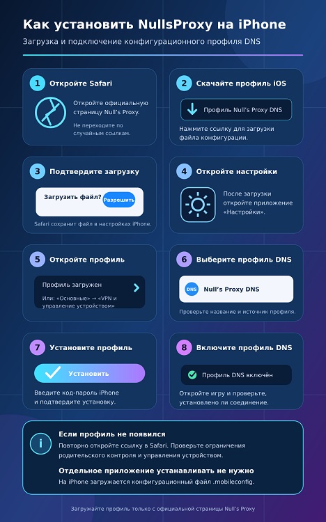 DNS NullsProxy.com
