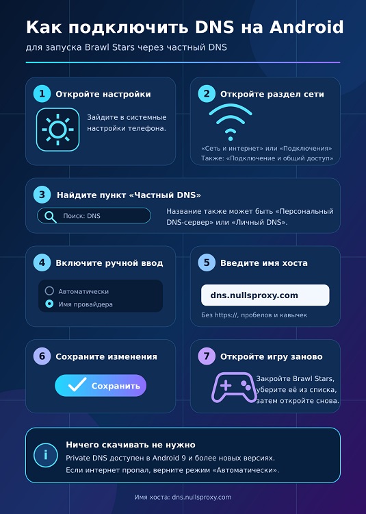 DNS NullsProxy.com